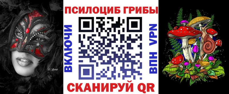 Псилоцибиновые грибы Psilocybine cubensis закладка Протвино