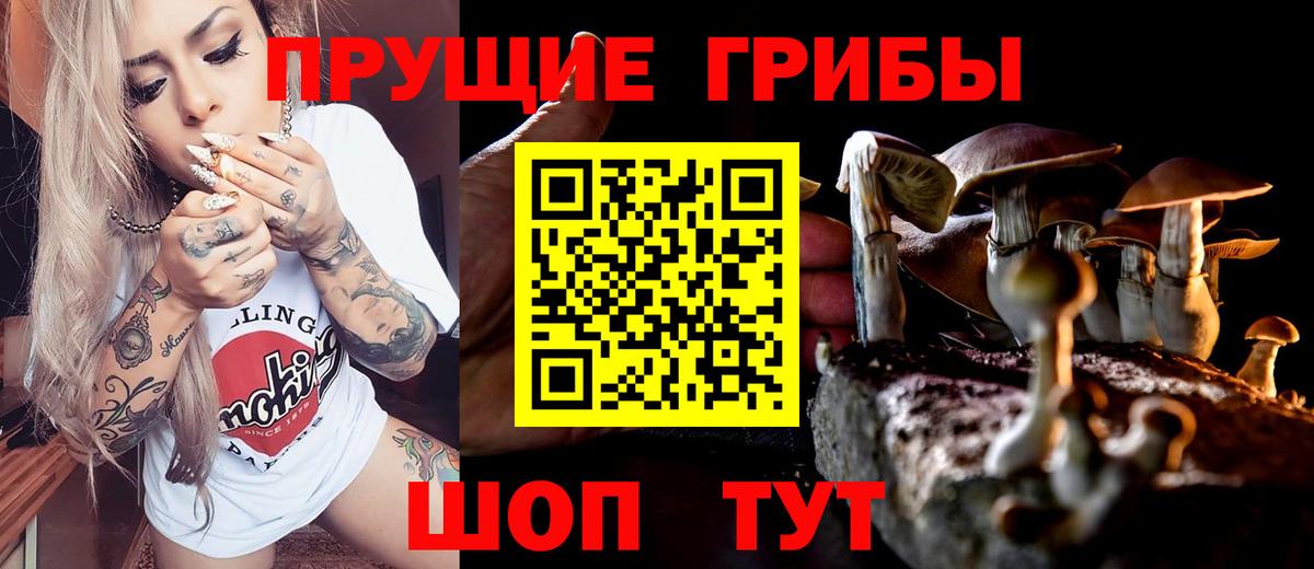 Псилоцибиновые грибы мухоморы  дарнет шоп  Протвино  Вход с VPN 