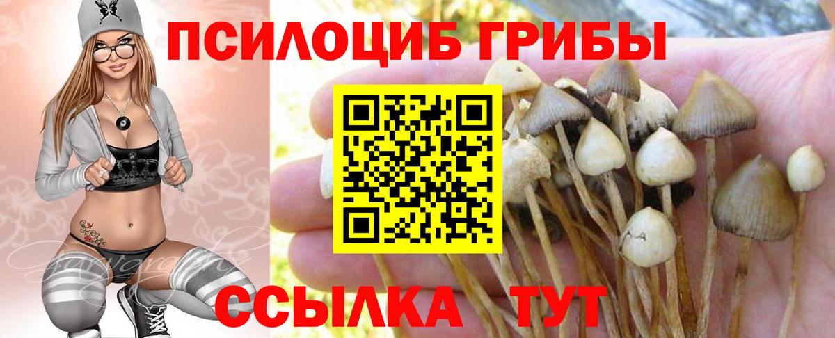 Псилоцибиновые грибы ЛСД Протвино