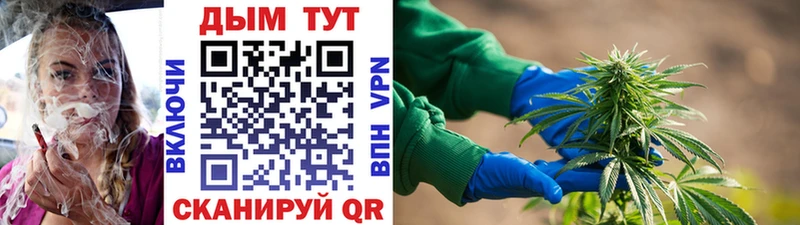 Каннабис марихуана дарнет шоп Протвино